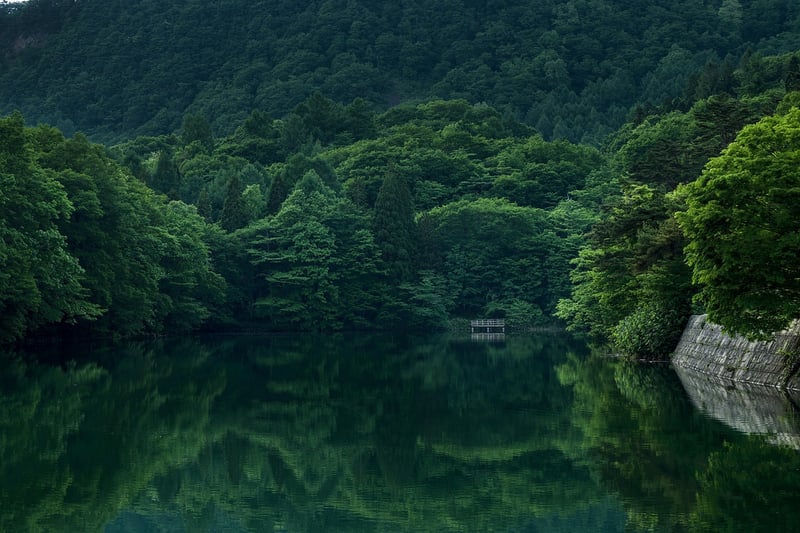 Mystic Lake Gardens